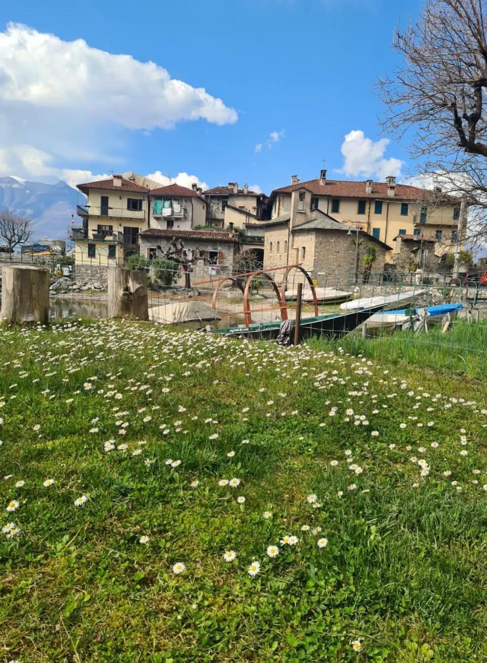 Apartment L'Ulivo Lake View Private Road 5 Kilometers From Varenna Lierna Dış mekan fotoğraf