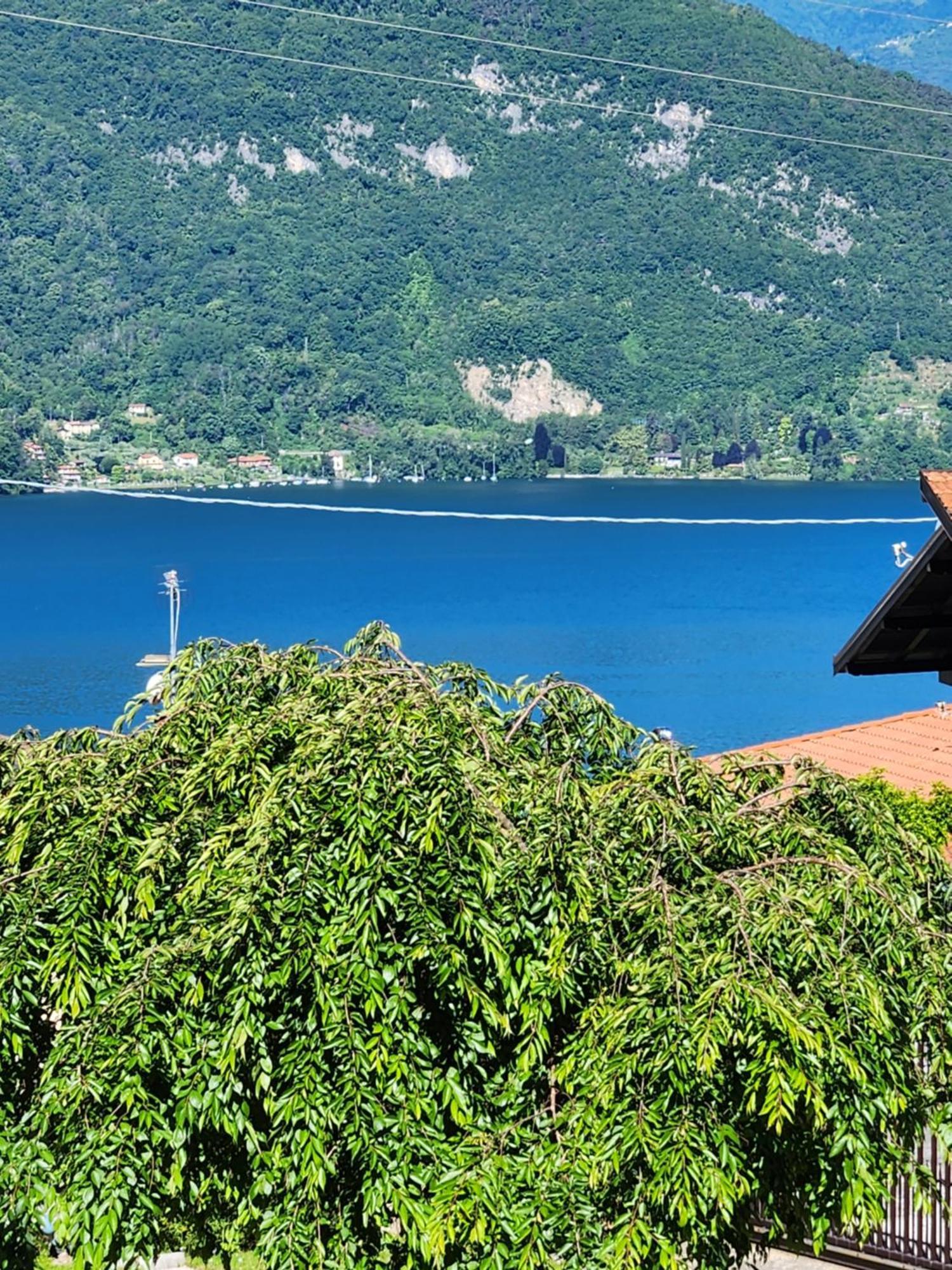 Apartment L'Ulivo Lake View Private Road 5 Kilometers From Varenna Lierna Dış mekan fotoğraf
